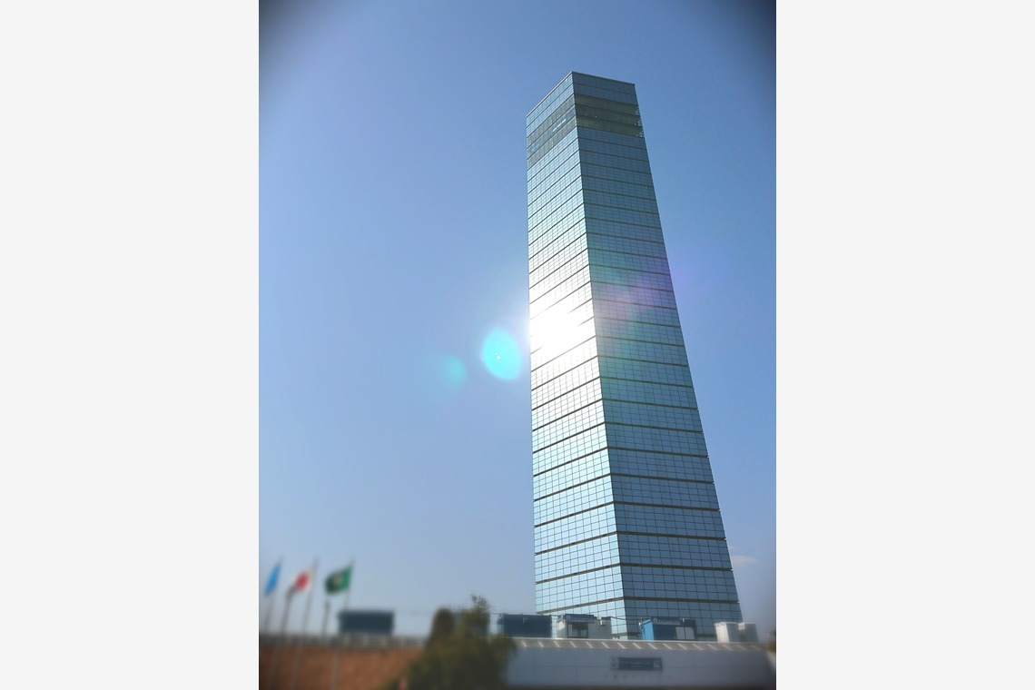 出張撮影のメモリーズが撮影した「nature-アラカルト」の写真