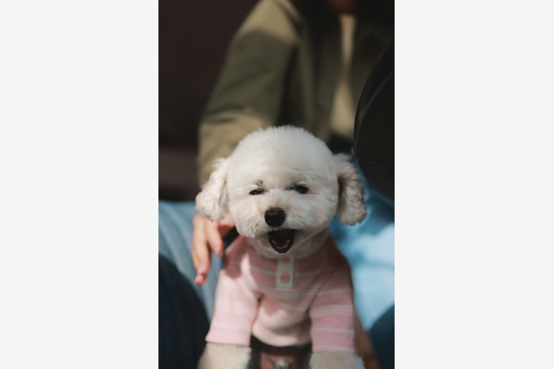 尾崎健太郎が撮影した「飲食店店舗」の写真