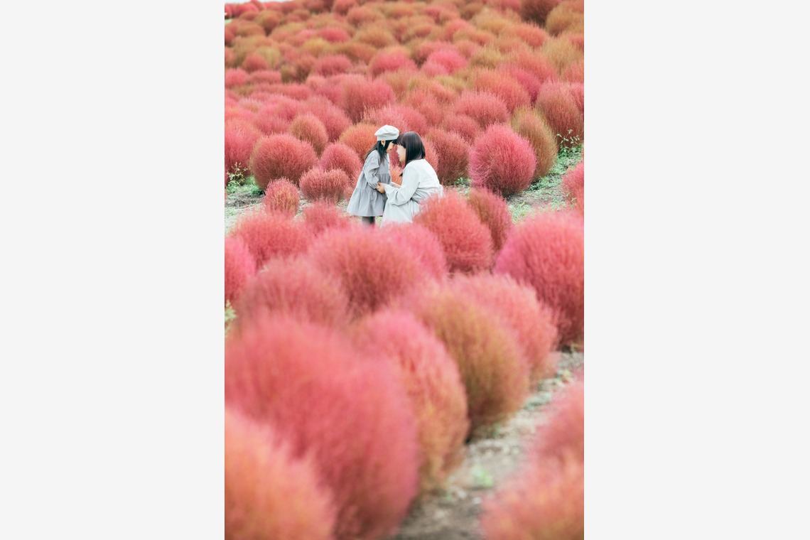 藤内誠一郎が撮影した写真のアルバム「ファミリーフォト」