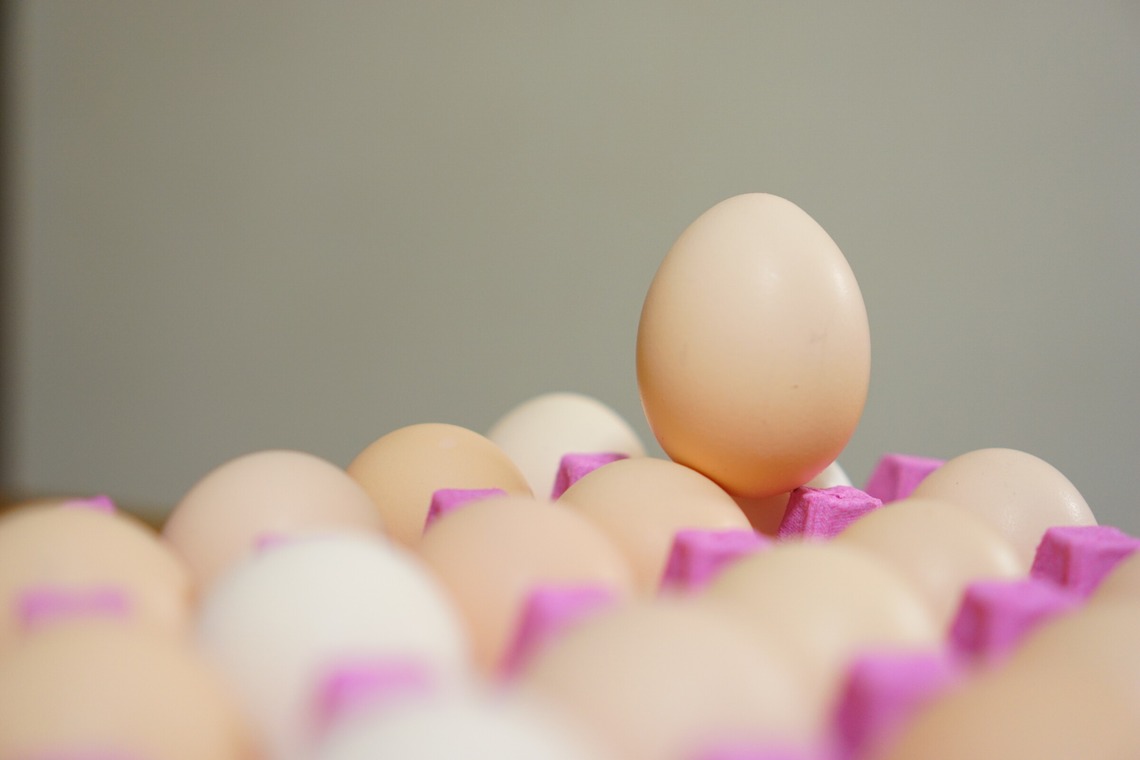 出張撮影のメモリーズが撮影した「商品撮影（アラカルト）」の写真