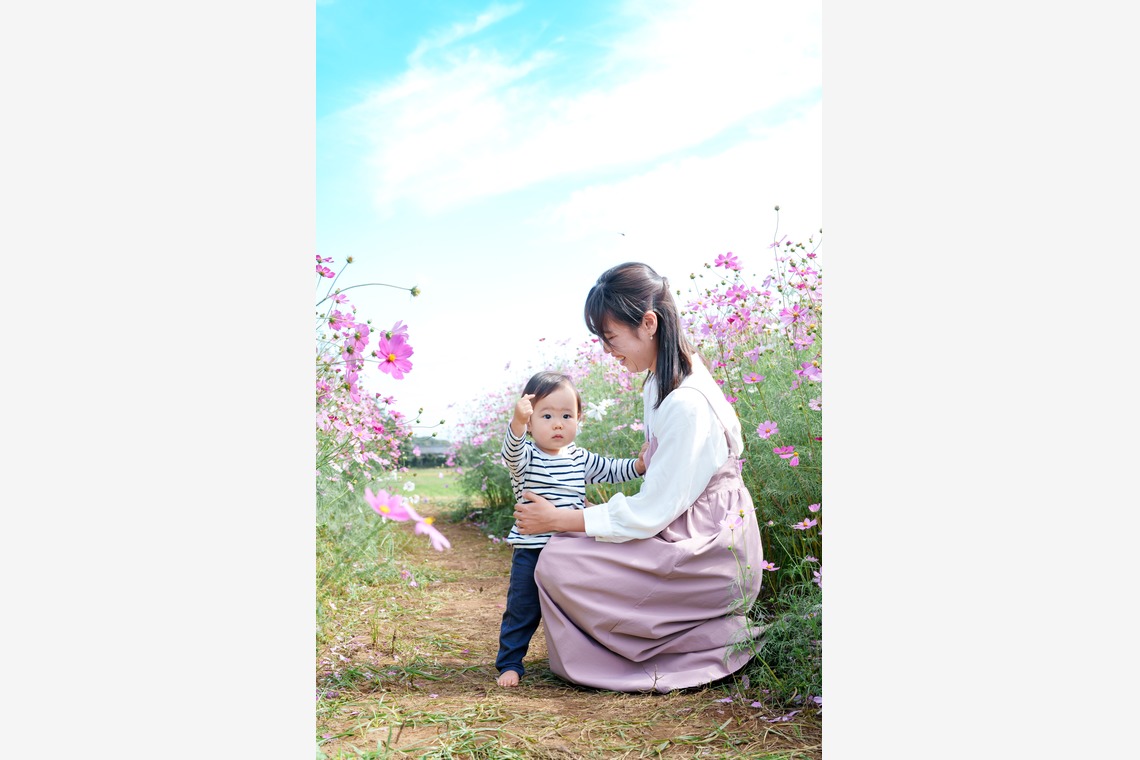 lino-'akaが撮影した写真のアルバム「コスモス」