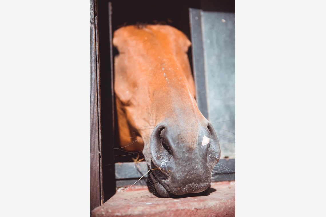 Jacek Cichopekが撮影した「ポーランド」の写真