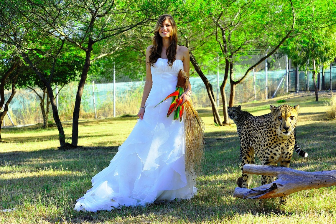 今林 浩一が撮影した写真のアルバム「モーリシャス」