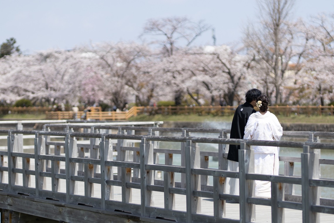 saruco(岩崎寿）が撮影した「京都和装前撮り＠桜」の写真