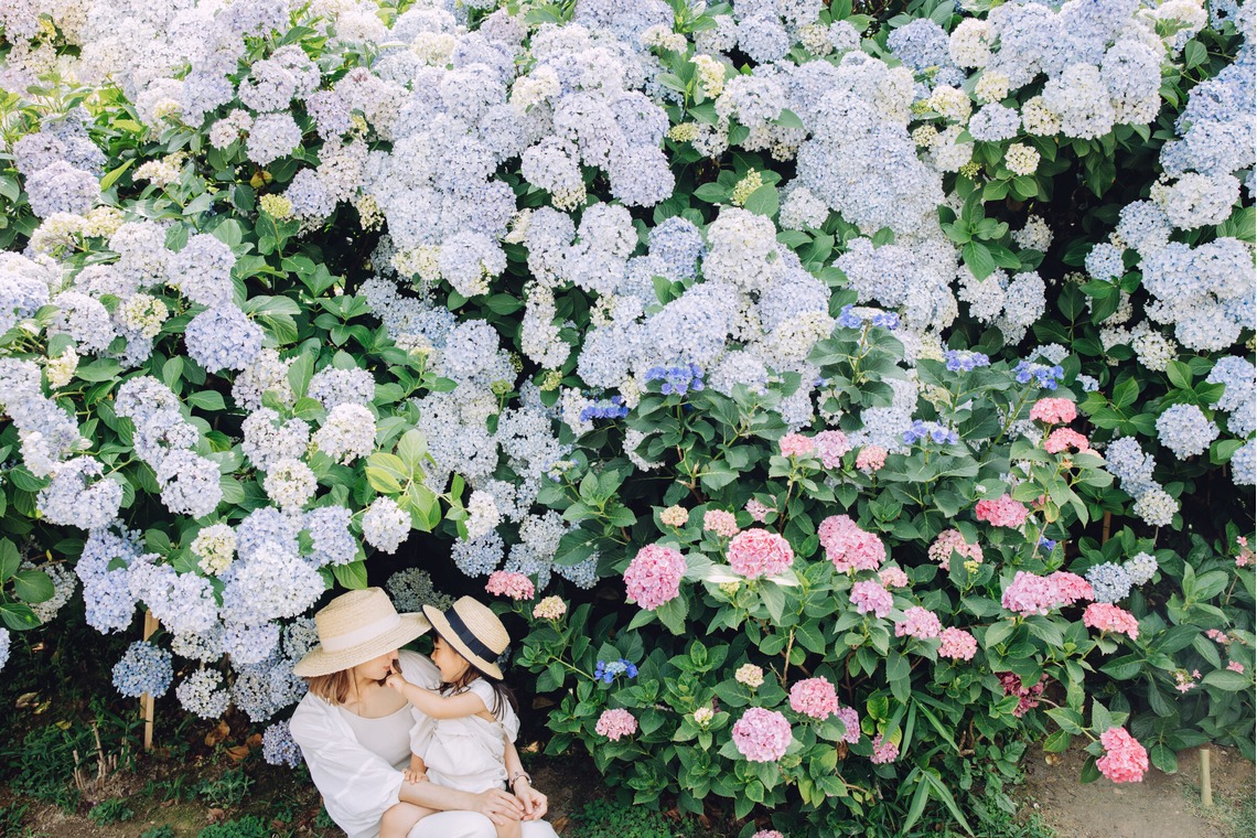 藤内誠一郎が撮影した写真のアルバム「ファミリーフォト」