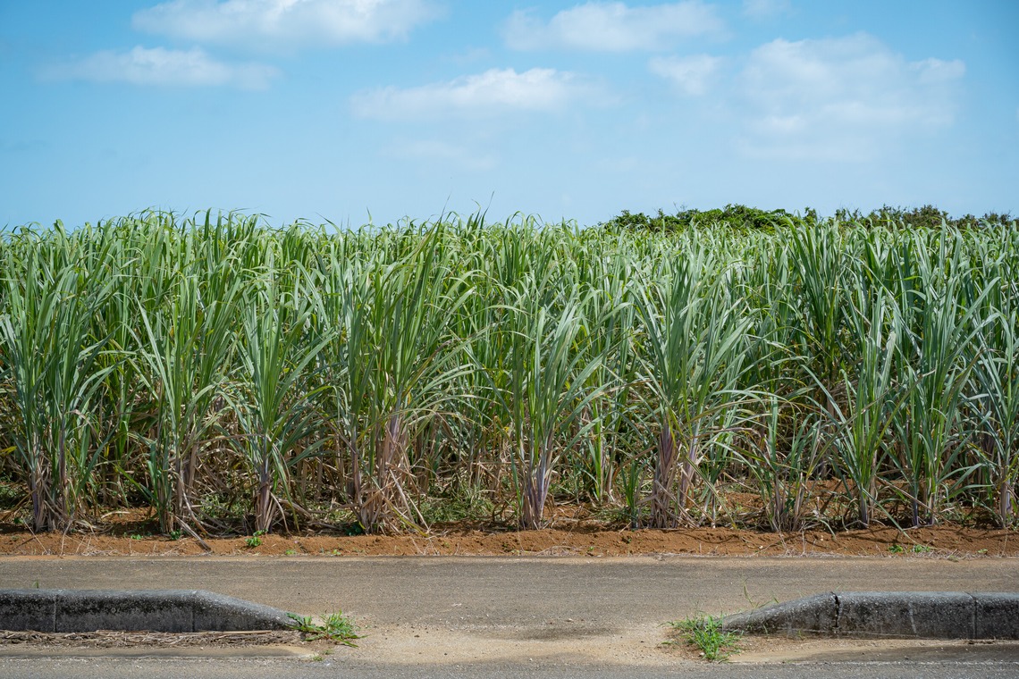 Photo of Miyakojima before business trip taken by takumatravel
