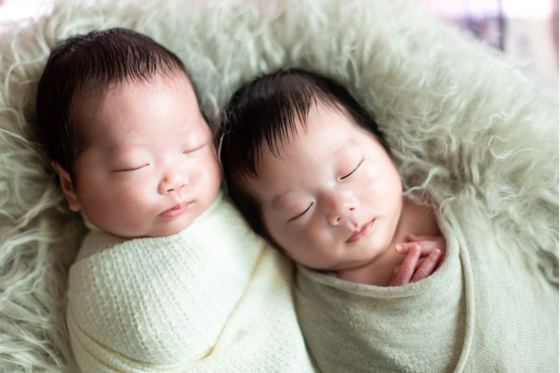 サキヤマ リエが撮影したスタジオ撮影のアルバム「白&ベージュ系・ひつじ＆犬・男女の双子ちゃんのニューボーンフォト」