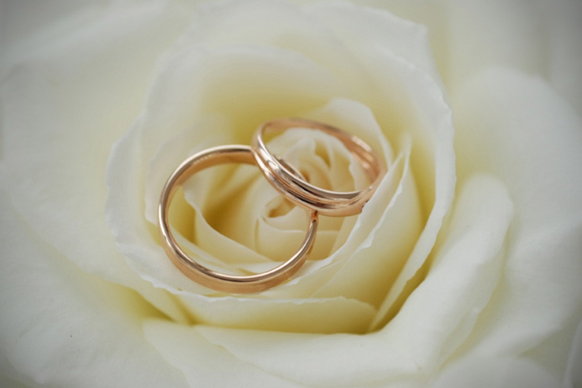 Photo of portfolio taken by Seichi Koujin