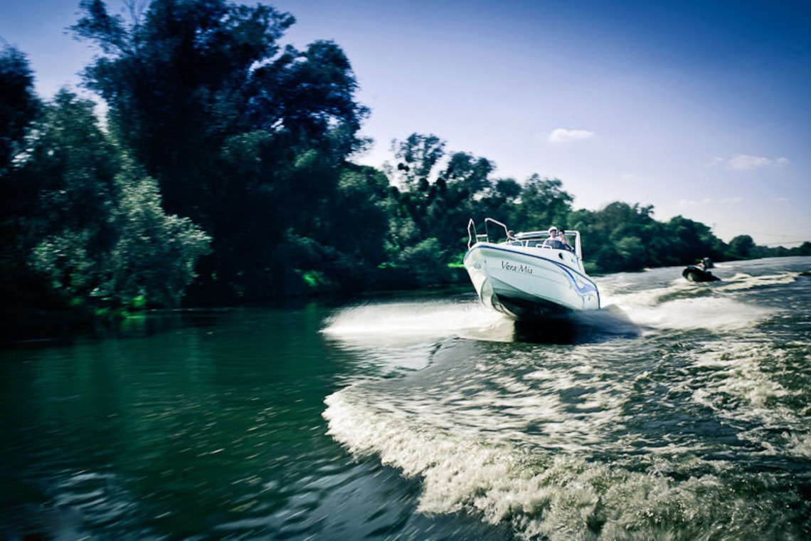 Wedding Photography Dubaiが撮影した「ドバイで???カメ」の写真