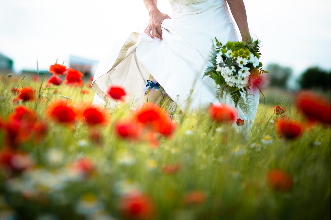 Photo of  taken by Tony Romero