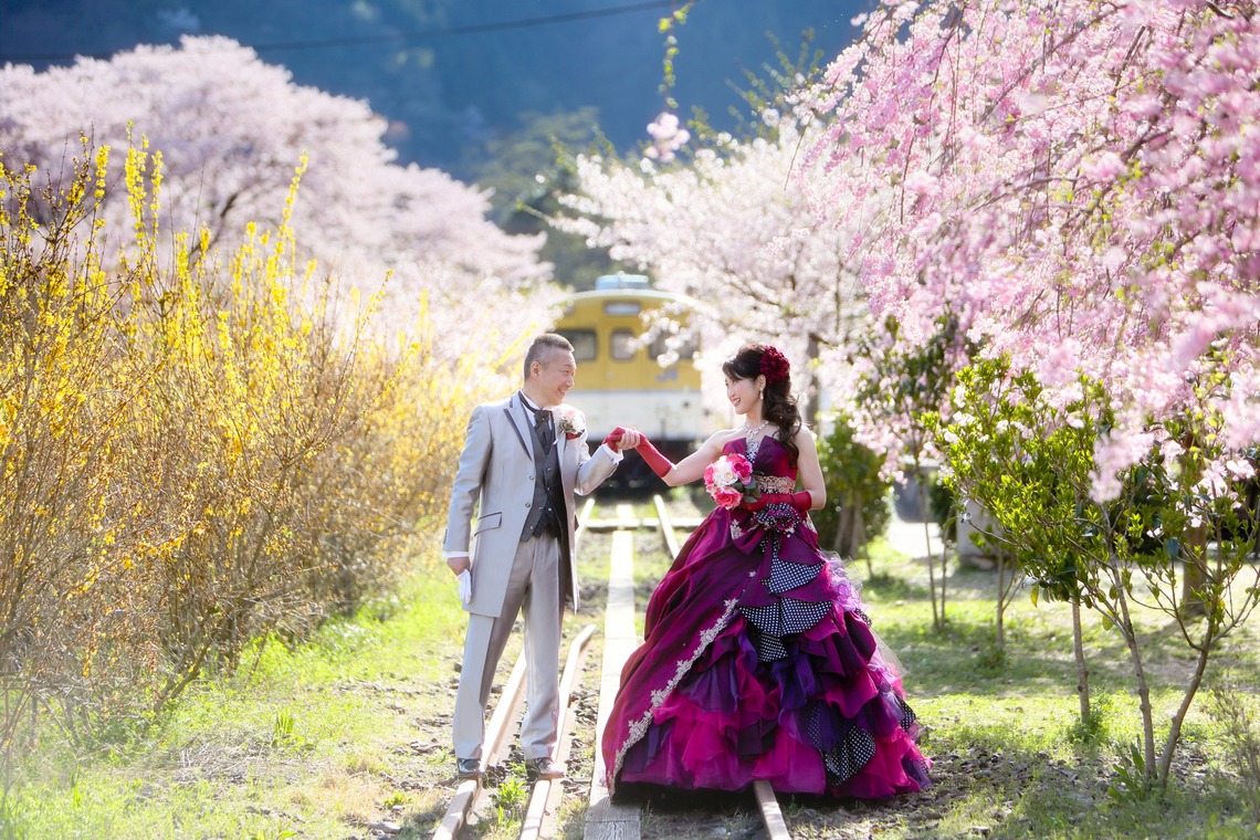 KIKIウェディングが撮影した「桜　桜　桜」の写真