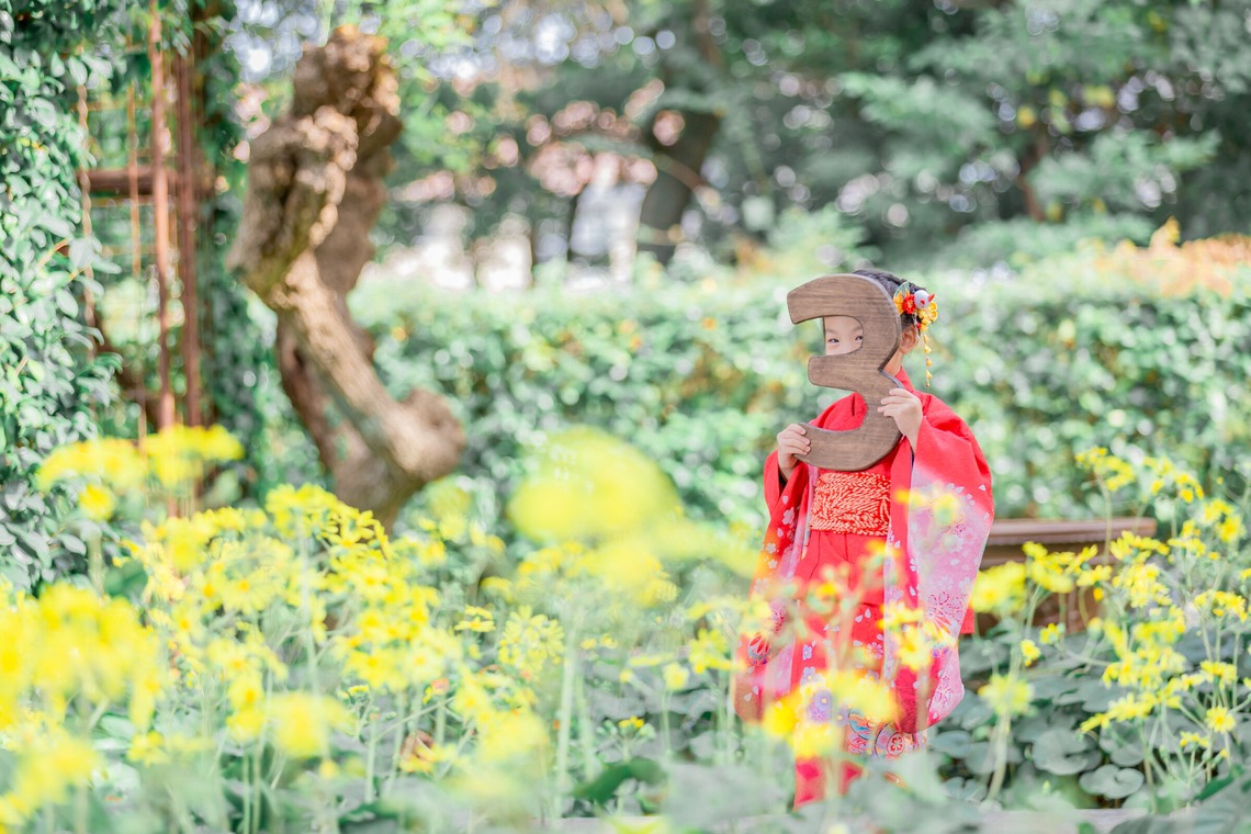 尾崎光が撮影した写真のアルバム「七五三フォト/3P」