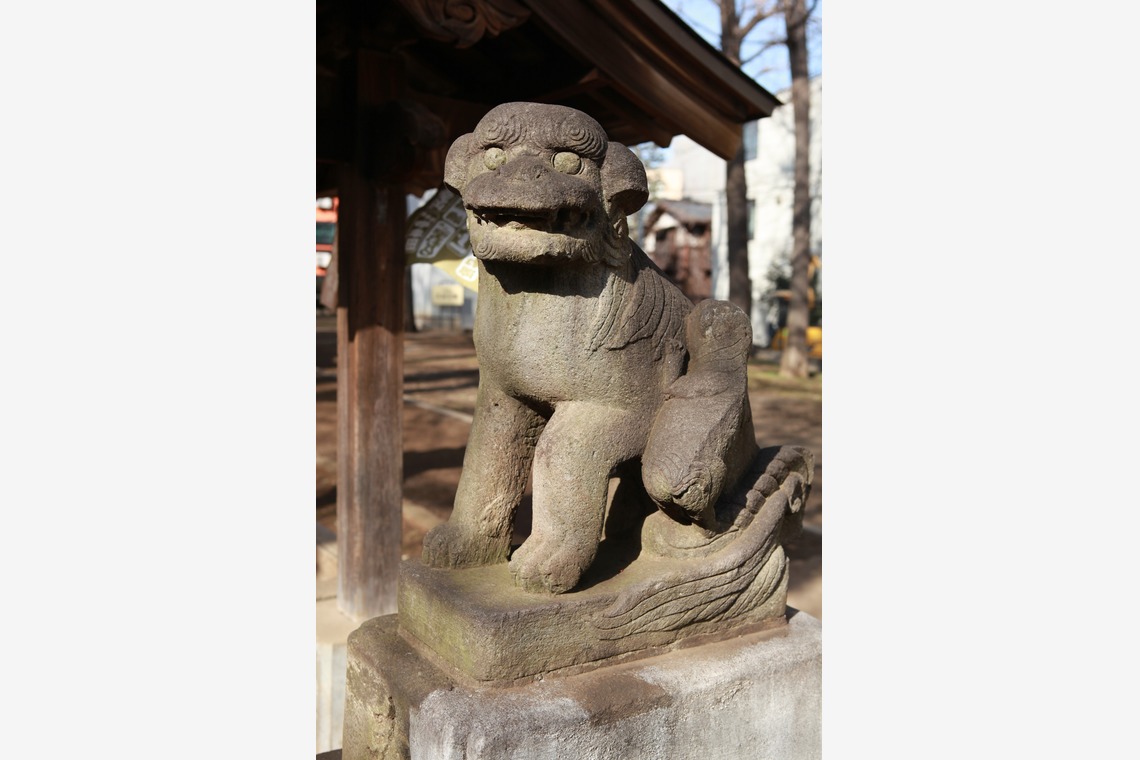 松浦写真事務所が撮影した「」の写真