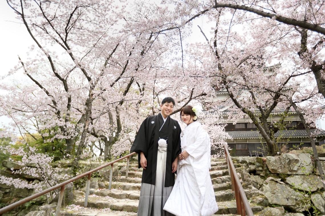 KIKIウェディングが撮影した「しだれ桜とソメイヨシノ」の写真