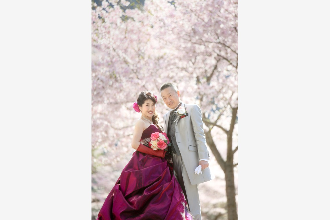 KIKIウェディングが撮影した「桜　桜　桜」の写真