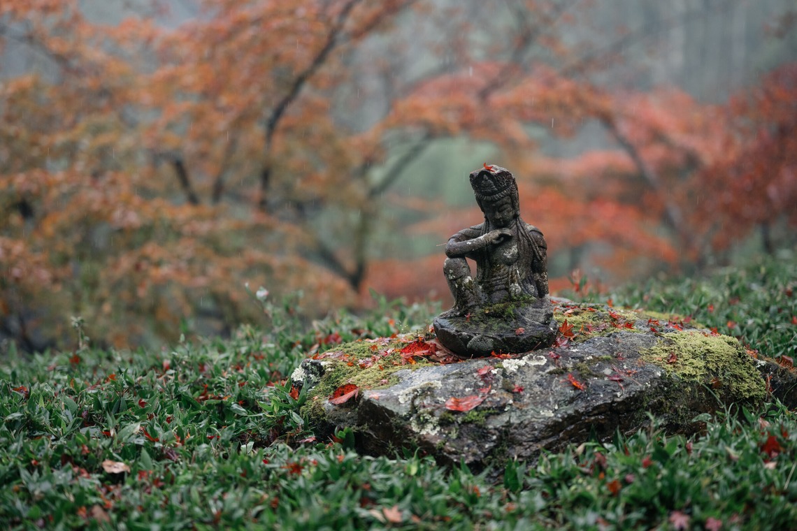 鈴木香那枝が撮影した「京都府中川町の取材撮影」の写真