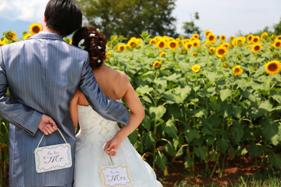 Photo of  taken by Serie Dresssing