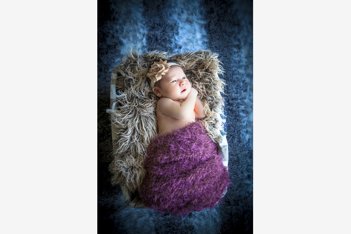 シドニー・クリエイティブフォトグラフィーが出張撮影した家族写真(キッズ,ベビーフォト)などが写った「Family Children and Newborn Babies （家族撮影、お子様、新生児撮影）」の家族写真