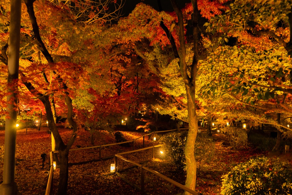 久保田　有一が撮影した写真のアルバム「風景」
