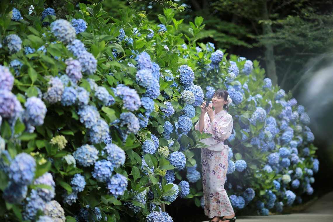 お祝い写し屋が撮影した写真のアルバム「モデル、コーポレート撮影」