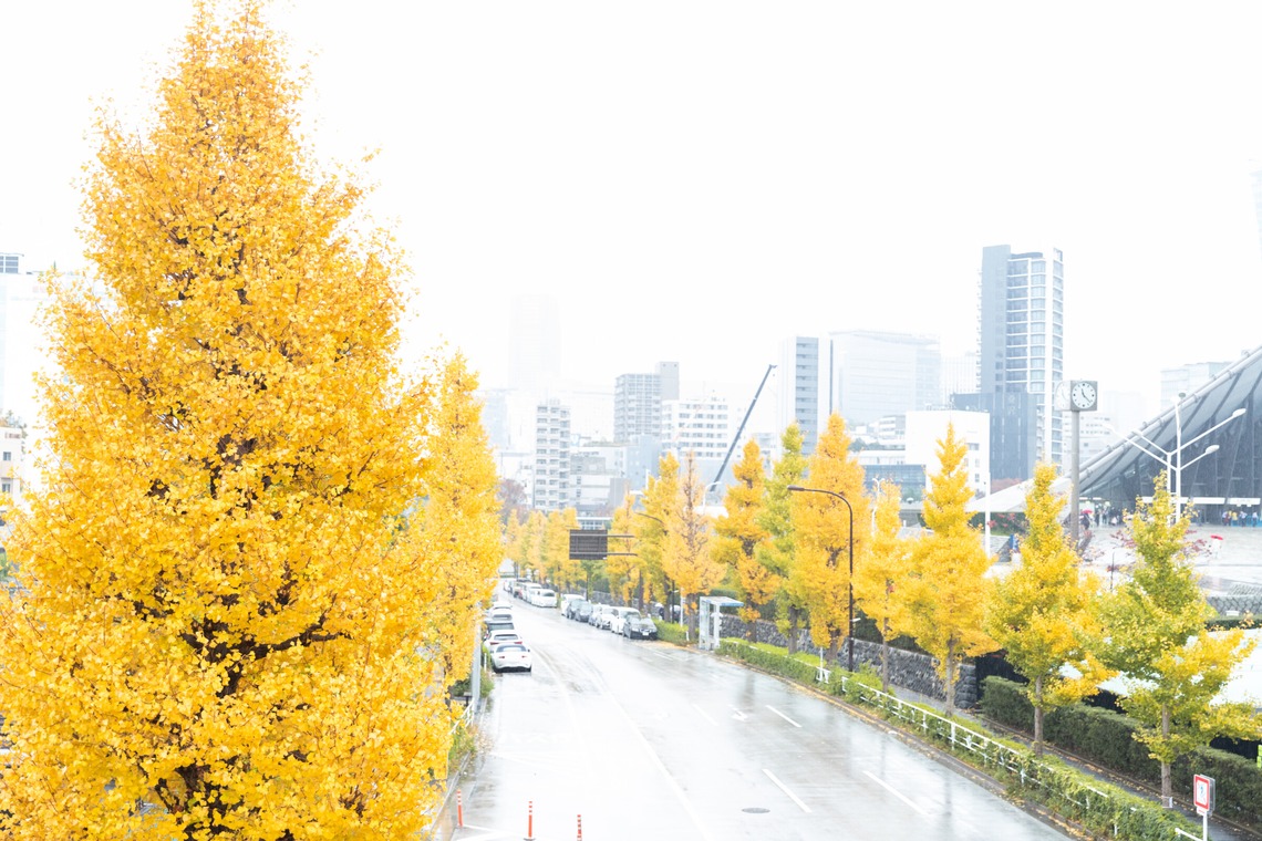 工藤が撮影した写真のアルバム「風景写真」