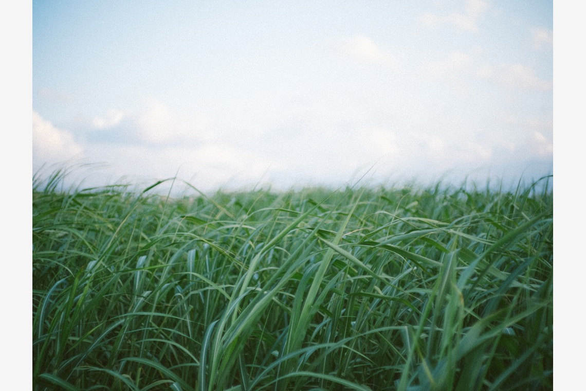 内村 円が撮影した写真のアルバム「ポスター用撮影」