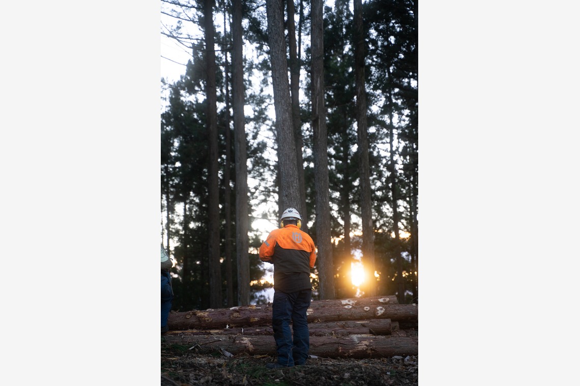 studio9thが撮影した写真のアルバム「群馬県多野郡 / 森林組合の現場作業風景」