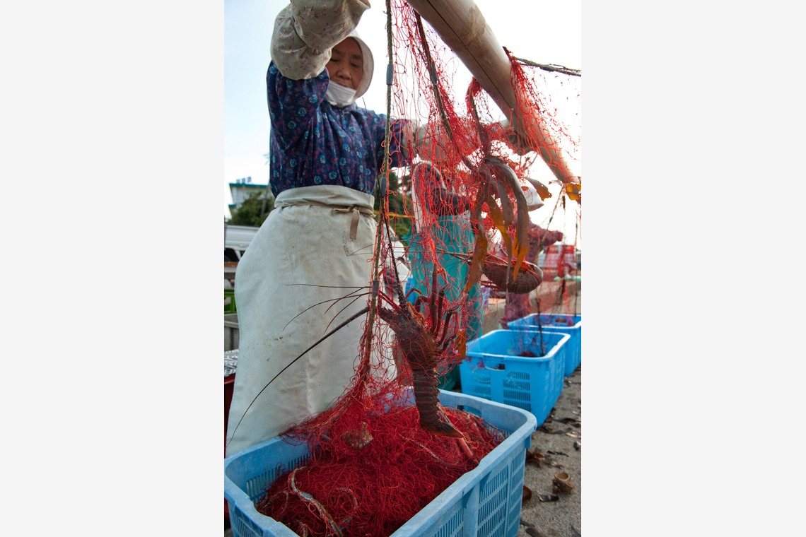 ワンツーBフォトが撮影した「人物撮影」の写真