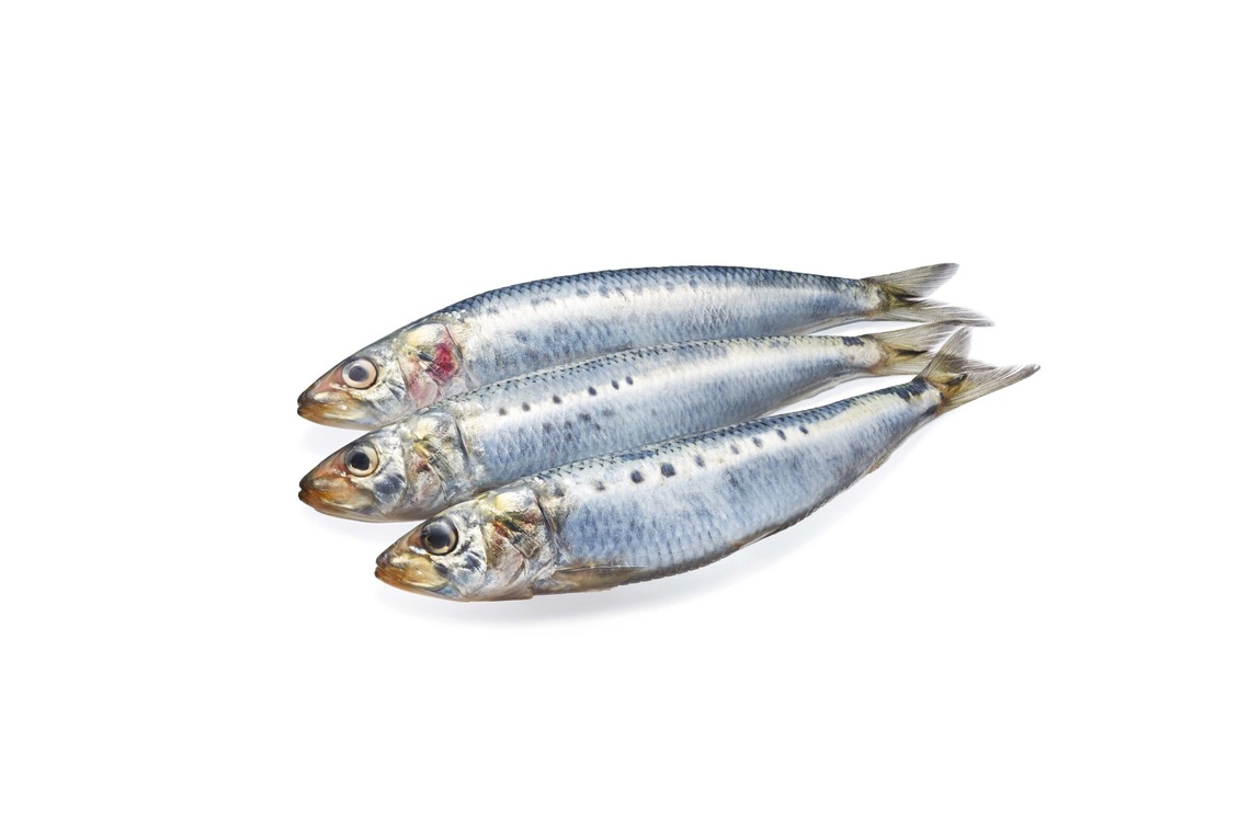 西原毅が撮影した「野菜、他」の写真