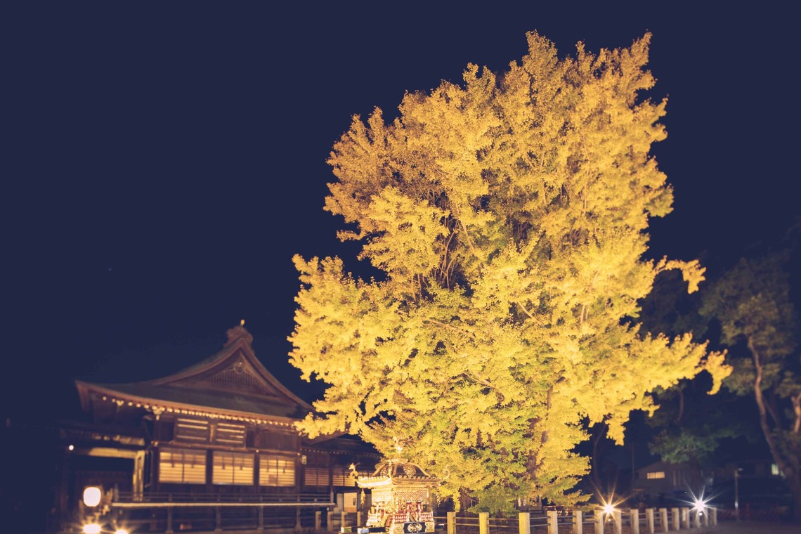 Sunstore 三條康貴が撮影した写真のアルバム「風景」