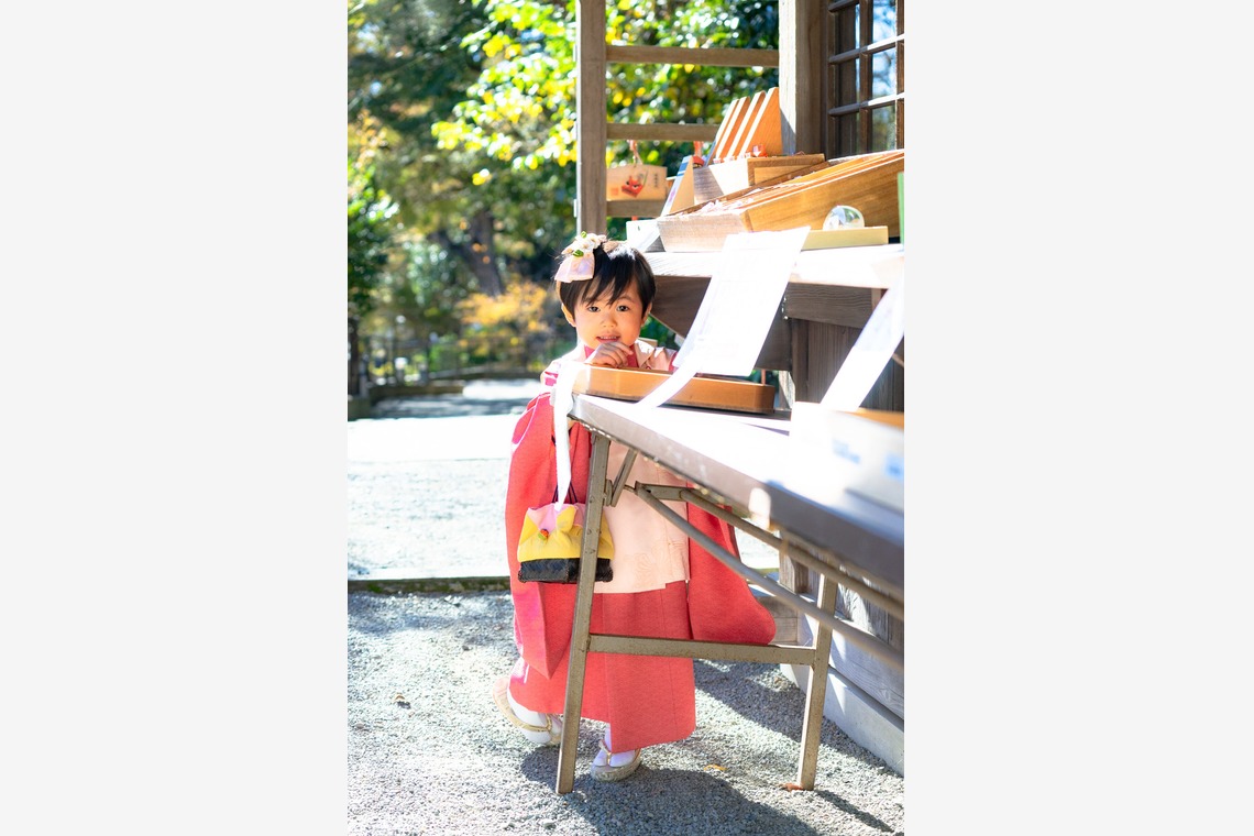 Petite Photographyが撮影した七五三フォトのアルバム「七五三出張撮影」