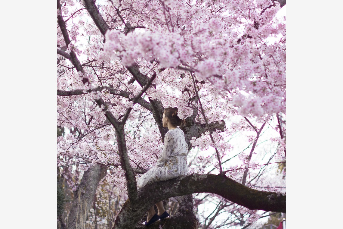 Reylia Slabyが撮影した「Variety 」の写真