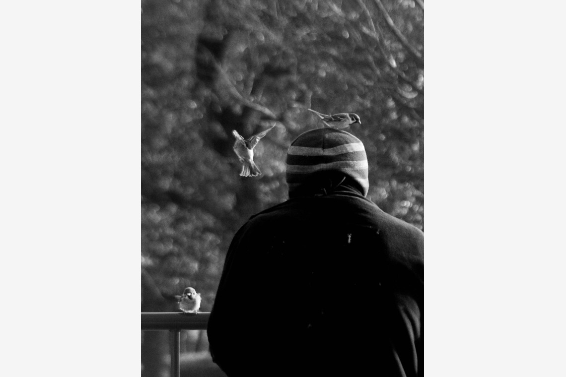 ハイナ　マテウス