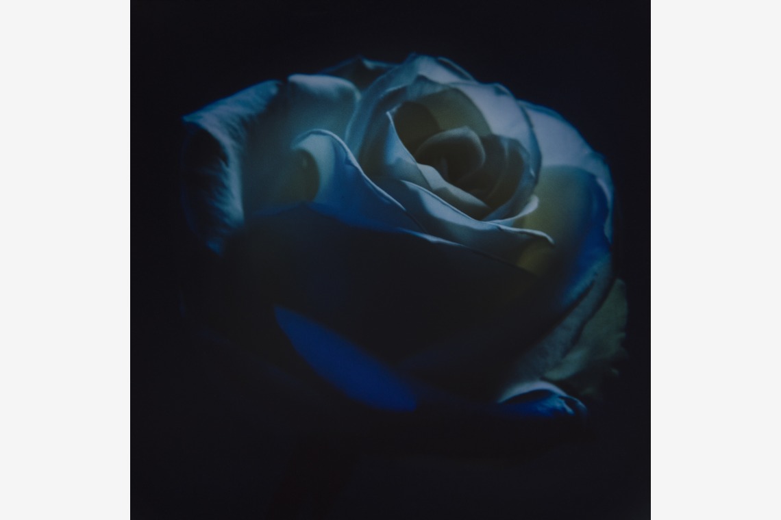 岡村公平が撮影した写真のアルバム「物撮り」