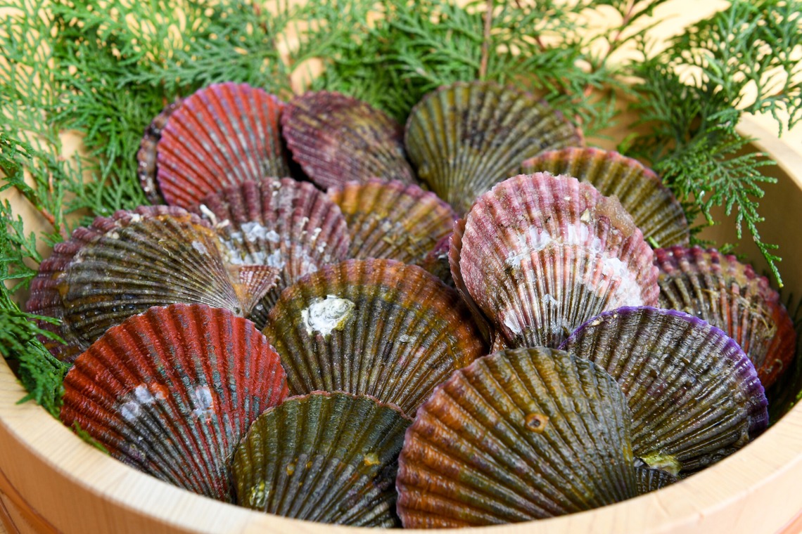 海住写真事務所が撮影した「料理・食べ物」の写真