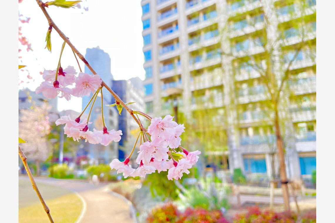 Takeuchi Shunsukeが撮影した写真のアルバム「風景等」