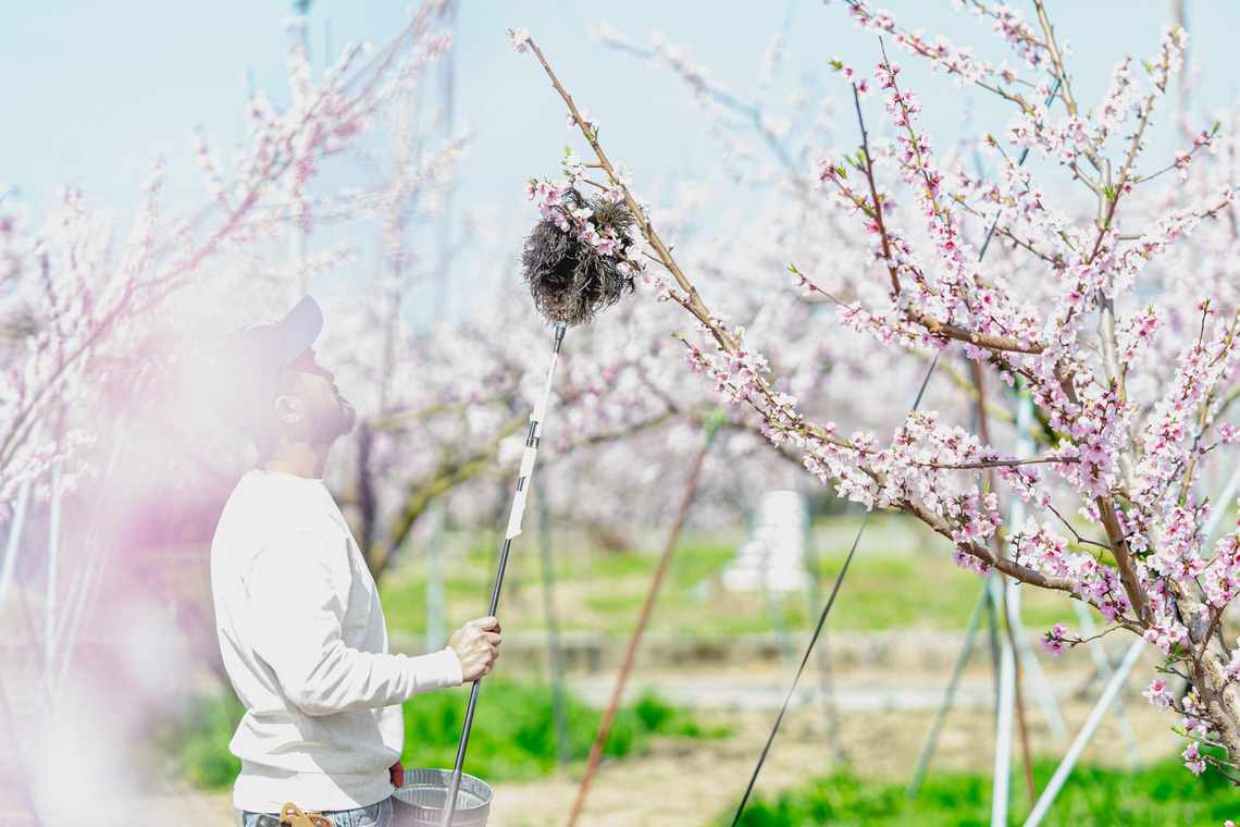 umimoyamamoworksが撮影した写真のアルバム「農家さん取材写真」