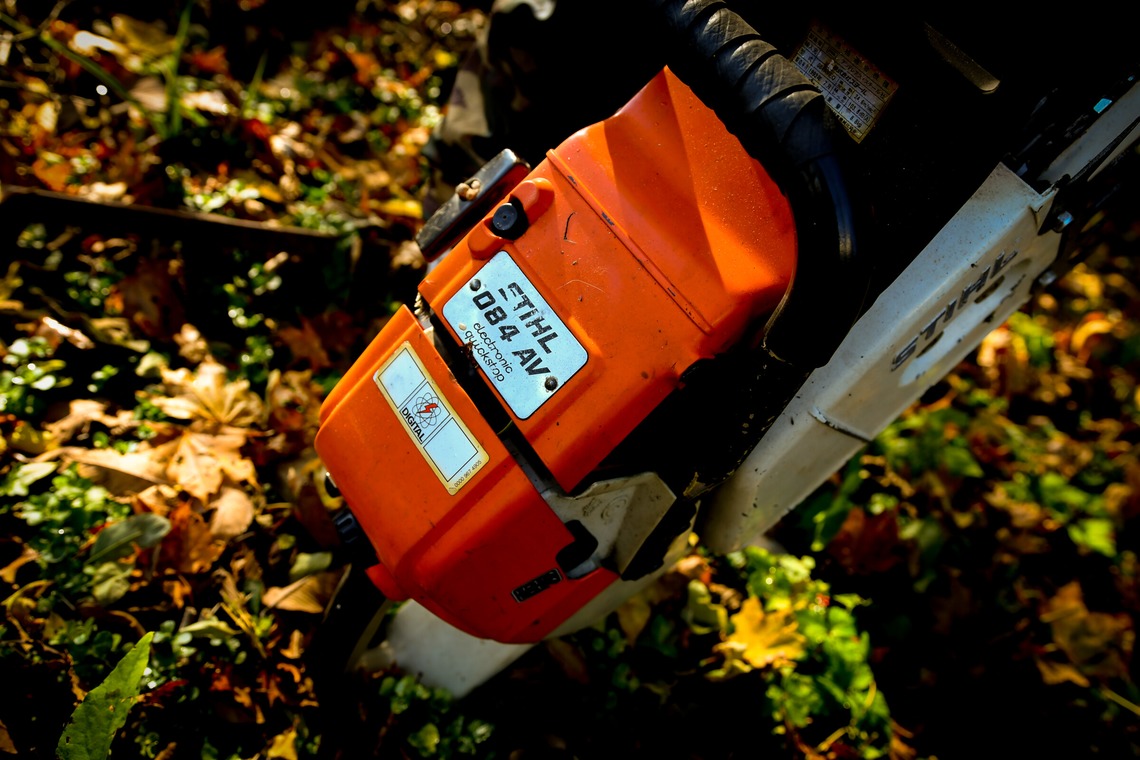 藤巻写真事務所が撮影した「フォレストワーカー」の写真