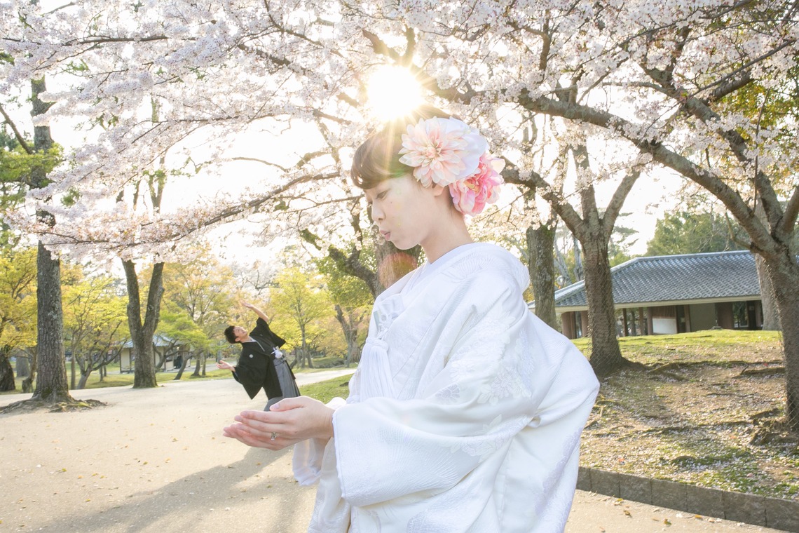 studio zeroが撮影した「奈良」の写真