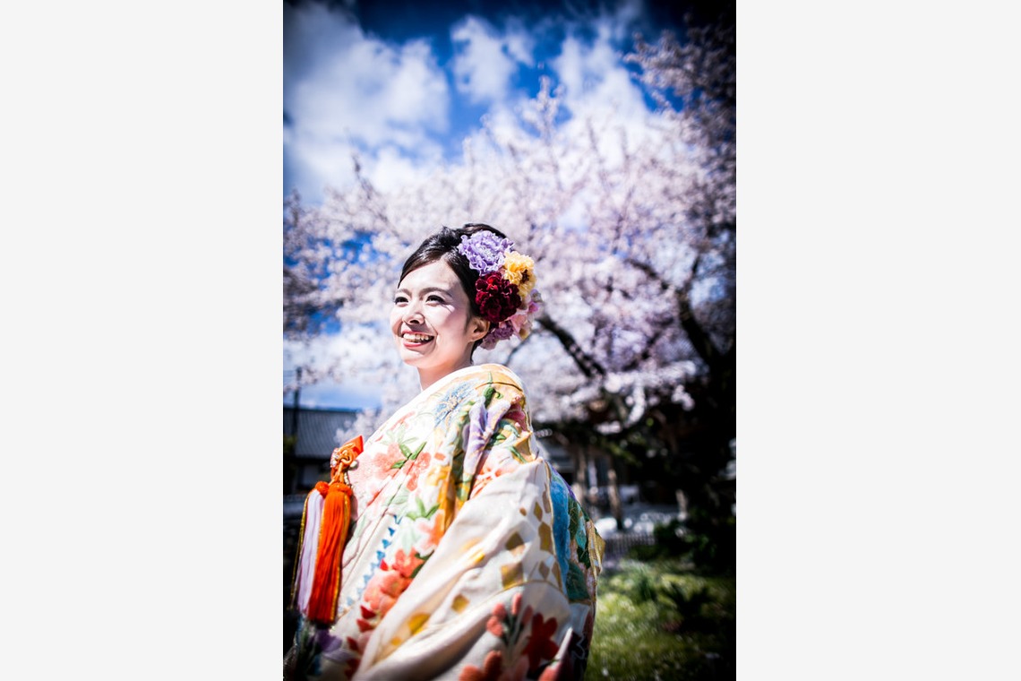 阿部写真館　大阪本町 靭公園前が撮影した写真のアルバム「桜」