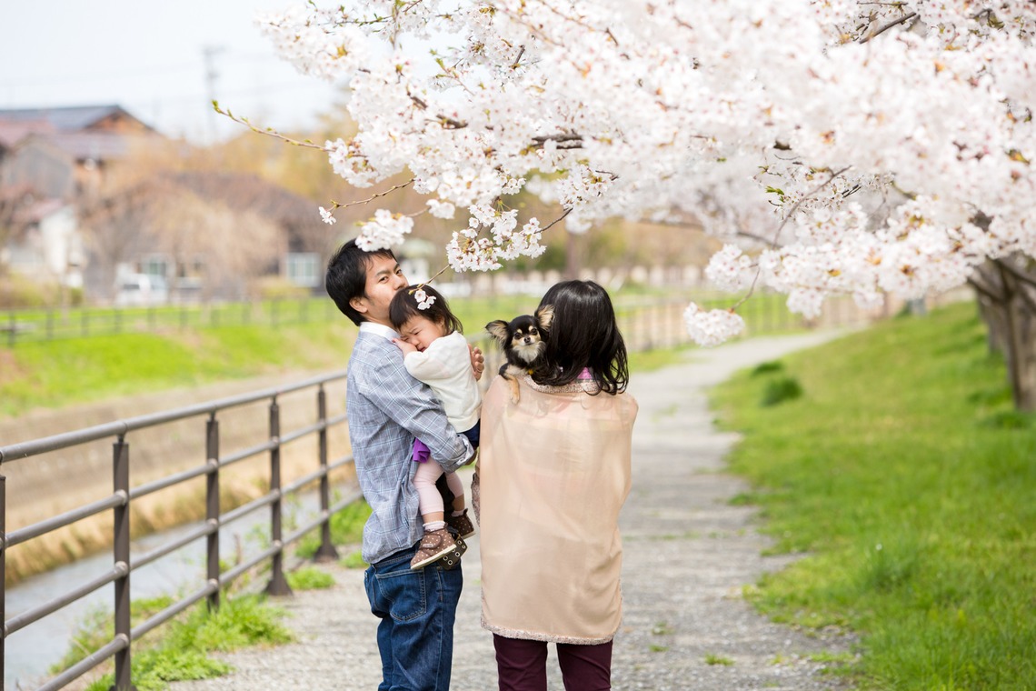 ヤマダフォトが撮影した写真のアルバム「ファミリーフォト」