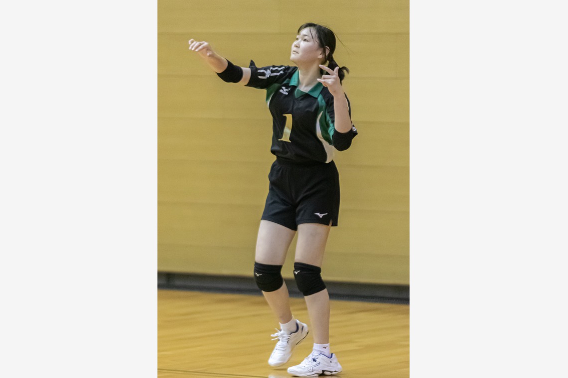 武内ピクチャーズが撮影した写真のアルバム「スポーツフォト(バレーボール)」