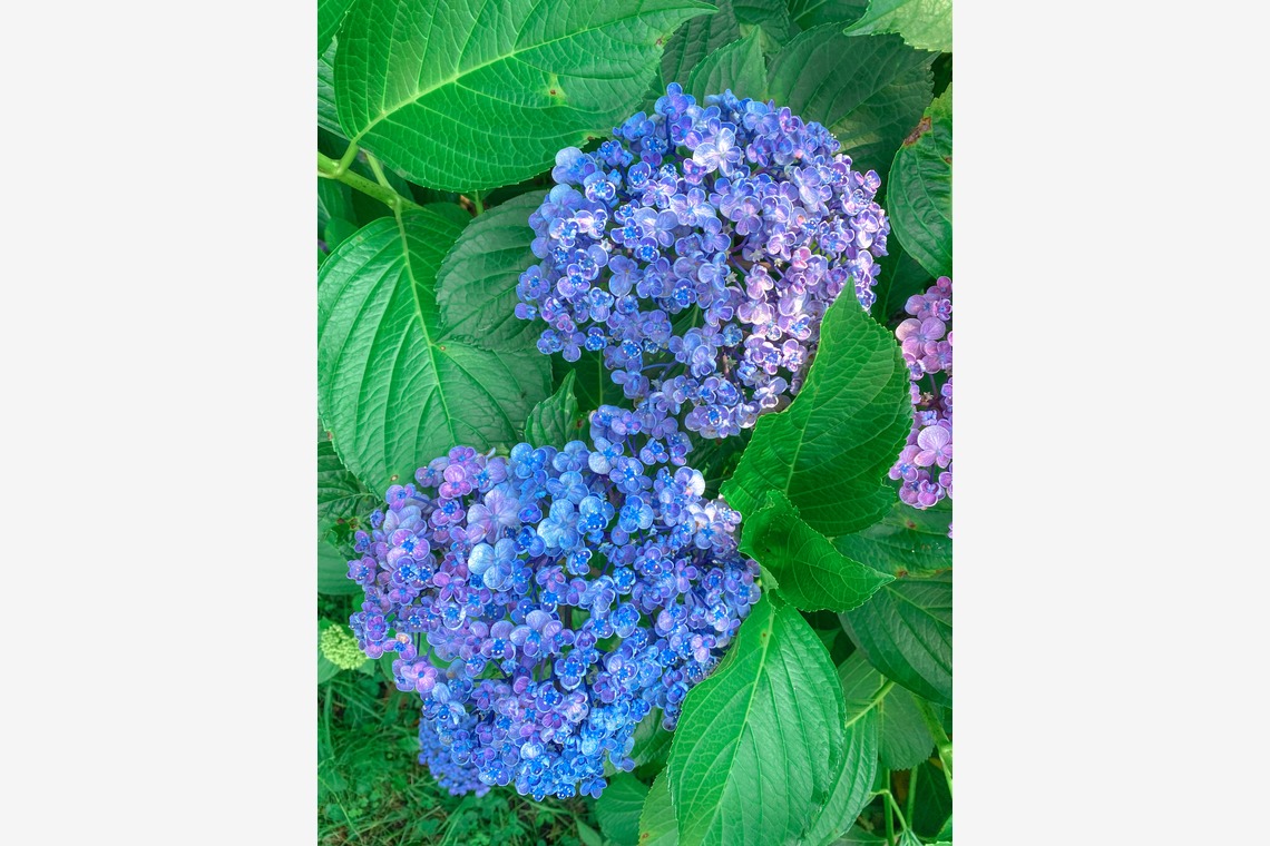 佐野章太が撮影した「建物撮影」の写真