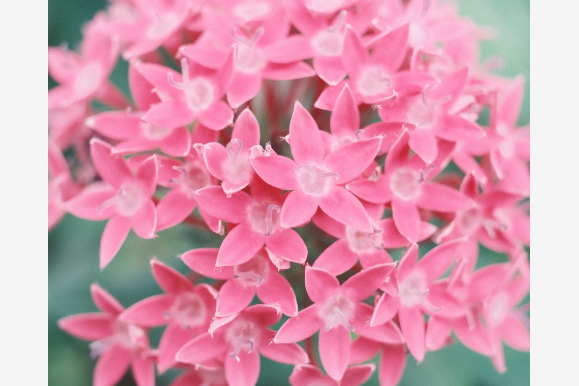 岡村公平が撮影した写真のアルバム「物撮り」