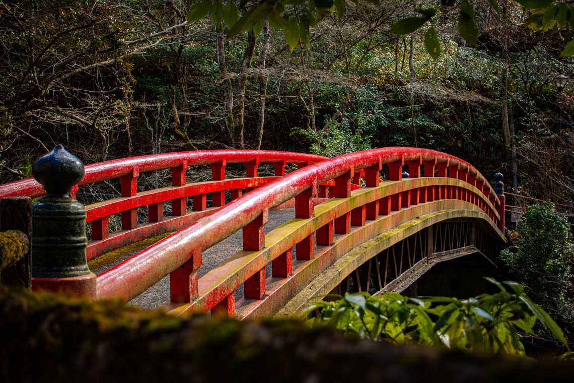 水嶋 将太が撮影した写真のアルバム「思い出。」
