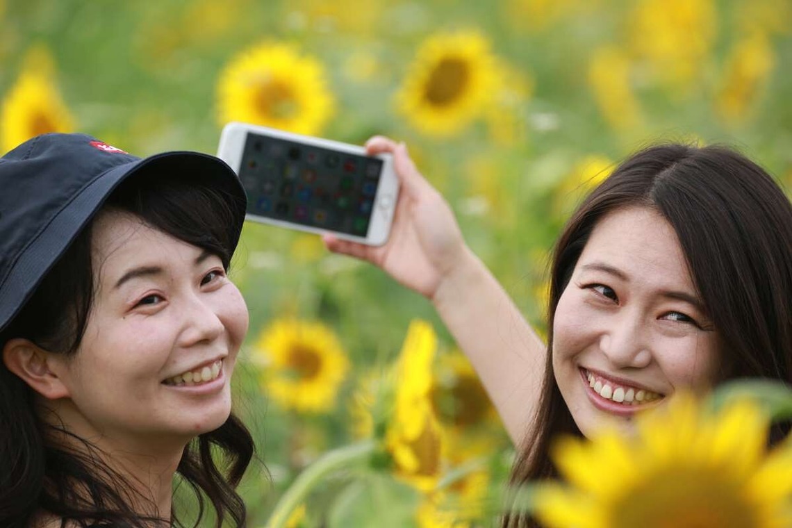 理 S PHOTOが撮影した「鼻高展望ひまわり畑」の写真