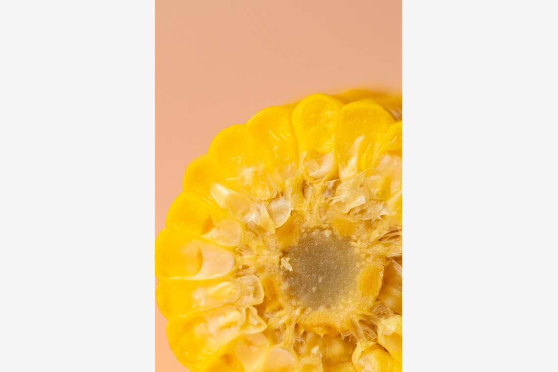 Hiroが撮影した「スタジオ、出張撮影」の写真