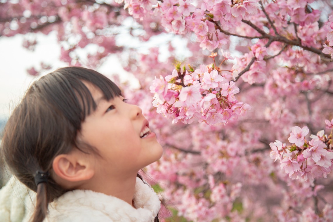 ゆのみふぉとが出張撮影した家族写真(キッズ,ベビーフォト)などが写った「桜とお写真」の家族写真