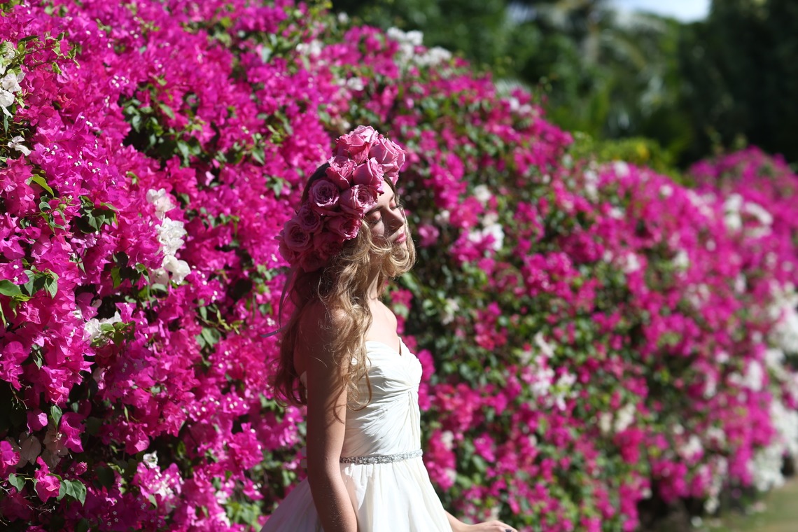 2cconcept (梅田福夫)が撮影した「フォトギャラリー」の写真