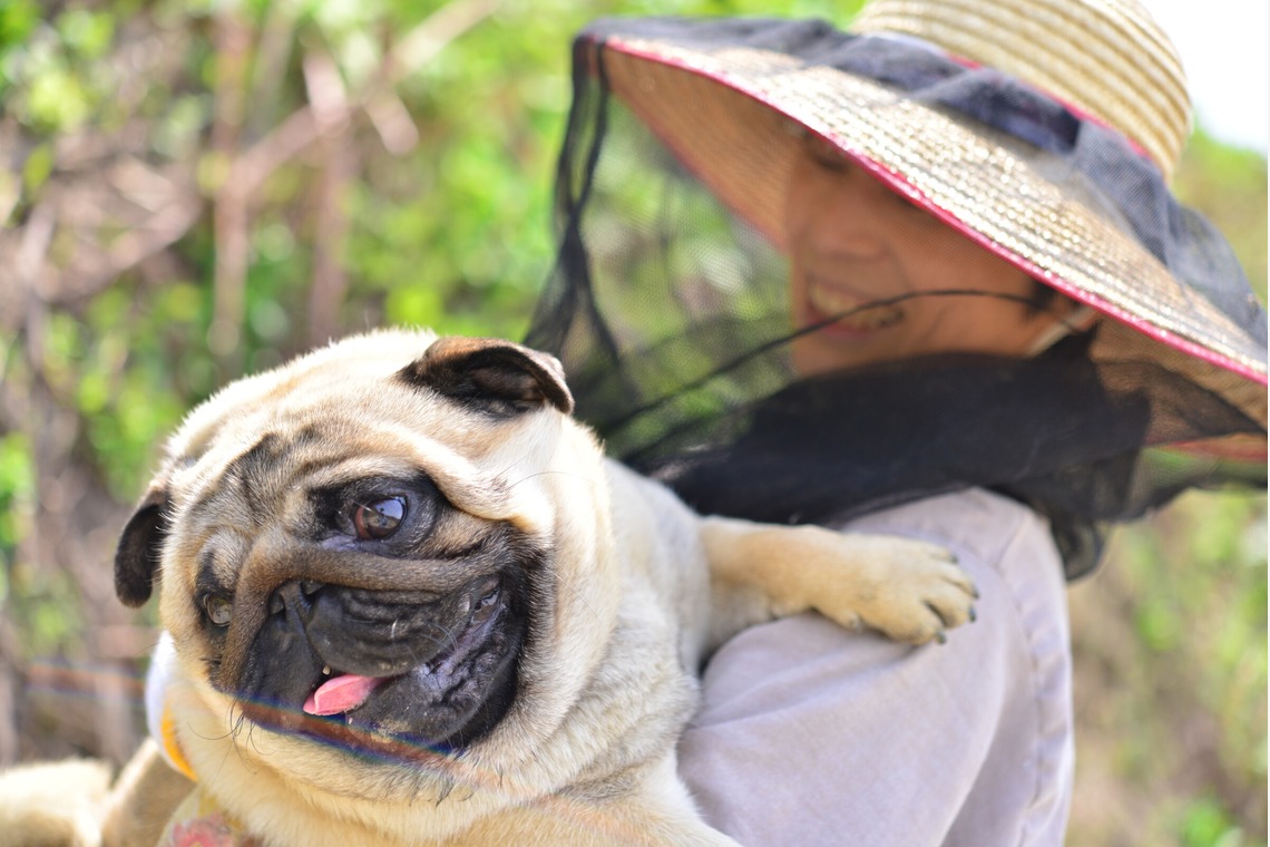 Peace-full photoが撮影した「ペット撮影」の写真